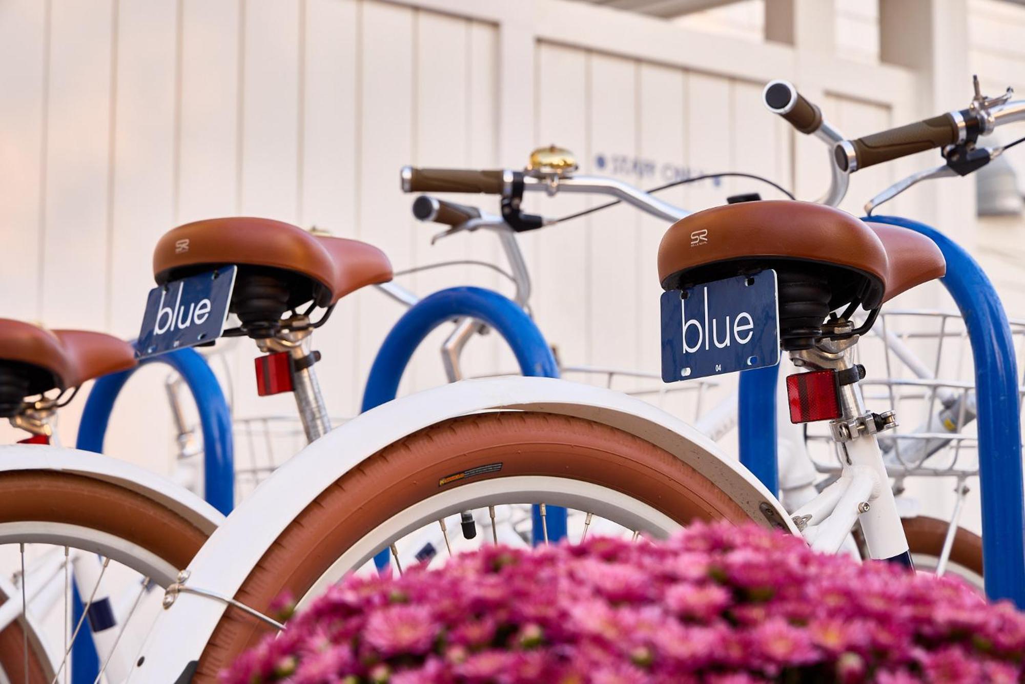 Blue - Inn On The Beach Newburyport Extérieur photo